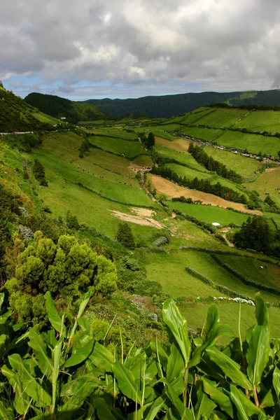 Açores verdes — Fotografia de Stock