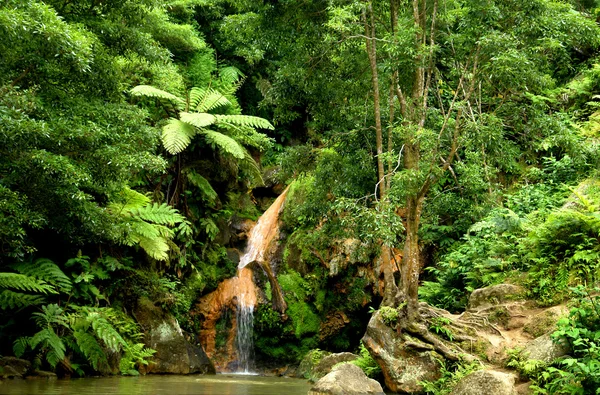 Grande Cachoeira Entre Plantas Verdes Nos Açores Portugal — Fotografia de Stock