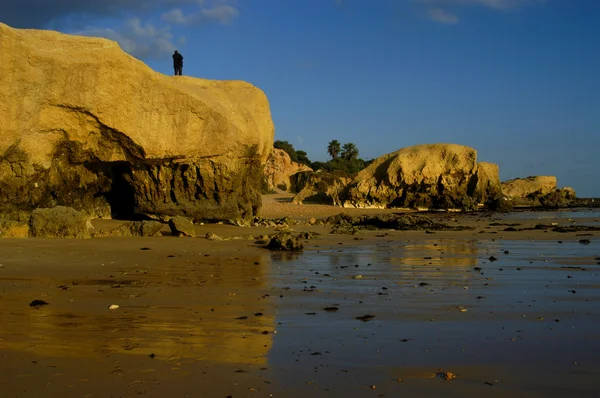 Plaj adam — Stok fotoğraf