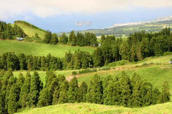 Azorerna Landskap — Stockfoto