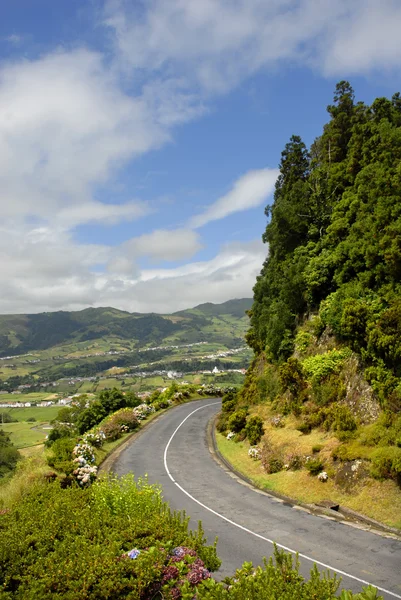 Landscape Road Sao Jorge Island Azores — Stock Photo, Image