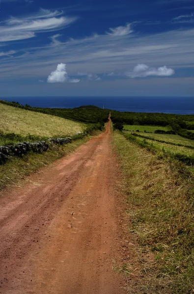 Duży Czerwony Droga Wyspy Azorów Sao Jorge — Zdjęcie stockowe