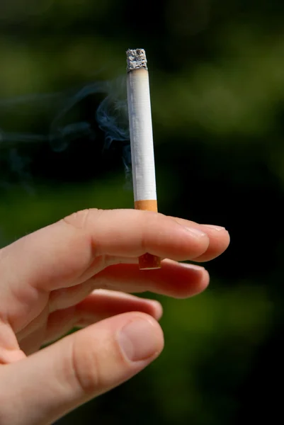 stock image Man hand with a cigarette among green vegetation