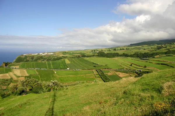 Açores Campos Verdes Ilha São Miguel — Fotografia de Stock