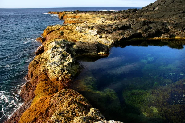 Azores Coast — Stock Photo, Image