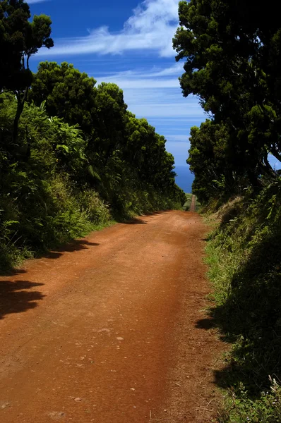 Rote Straße Auf Den Azoreninseln — Stockfoto