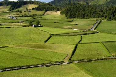 Azores alanları