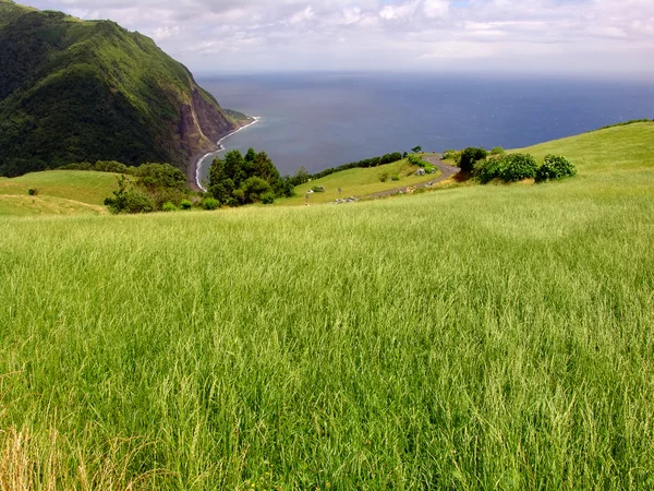 Azoren Küstenfelder Miguel Insel — Stockfoto