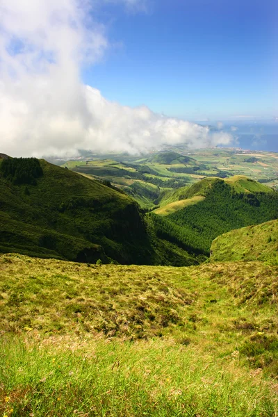Açores verdes — Fotografia de Stock