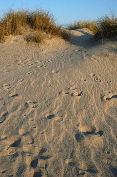 Fotspår Sanddynen — Stockfoto