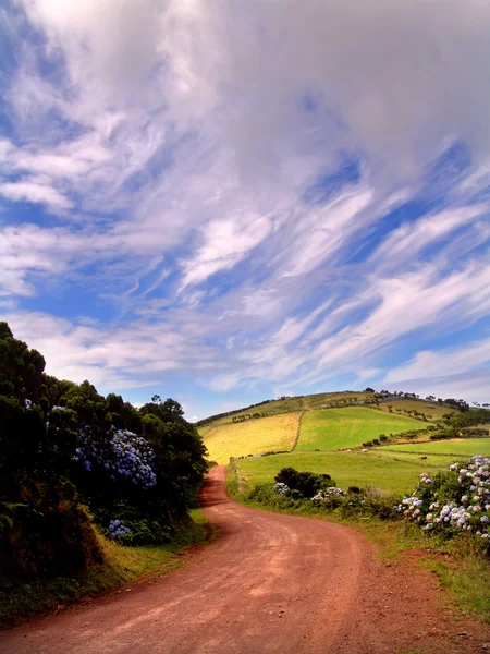 Grande Estrada Vermelha Ilha São Jordão Açores — Fotografia de Stock