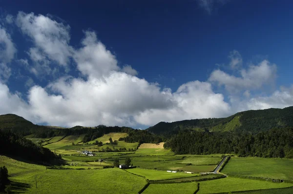 Paisagem Dos Açores — Fotografia de Stock