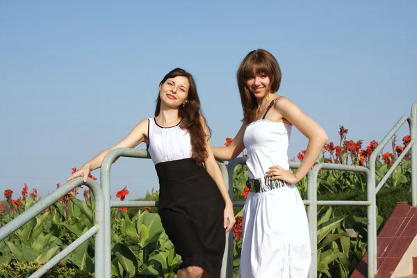 Twee mooie jonge meisjes in een park — Stockfoto