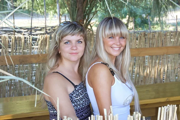 Zwei schöne junge Mädchen über die Natur — Stockfoto