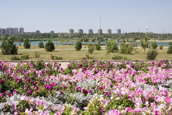 Parque no dique do rio em cidade Volgodonsk — Fotografia de Stock