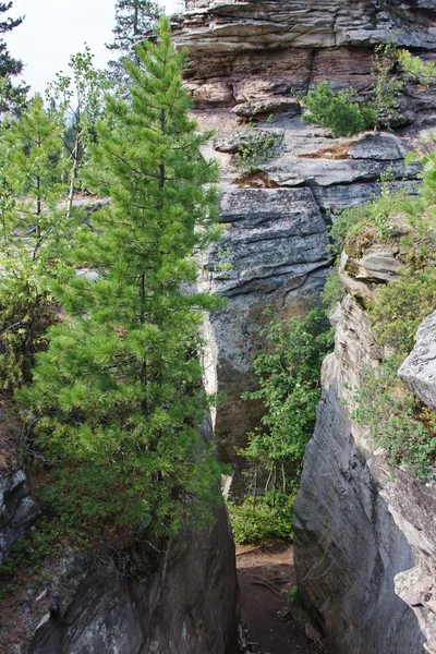 Path through rocks in summer — Stock Photo, Image