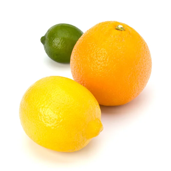 stock image Citrus fruits