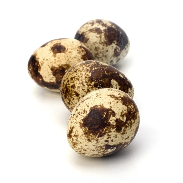 stock image Quail eggs