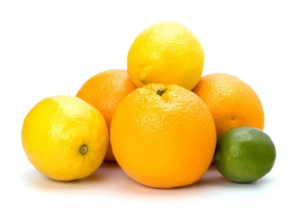 柑橘类水果 图库图片