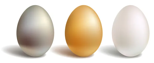 3d 벡터 계란, 금 백색, 고립 된 은색과 흰색 배경 — 스톡 벡터