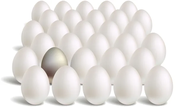 White silver eggs rows — Stock Vector