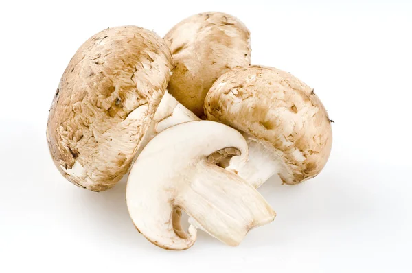 신선한 생 버섯 흰색 절연 — 스톡 사진