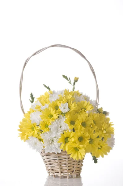 Květiny v košíku na bílém pozadí — Stock fotografie