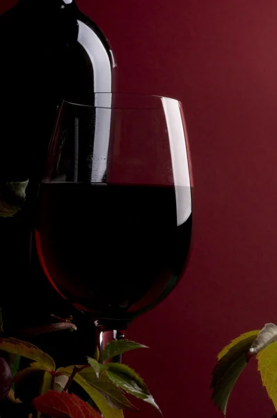 Красное вино и виноград крупным планом — стоковое фото