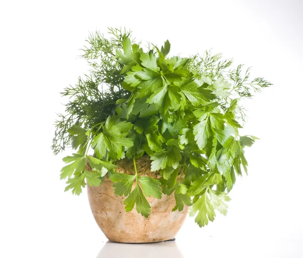 Fresh green herbs in a pot over white — Stock Photo, Image