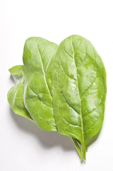 Fresh spinach leaves over white — Stock Photo, Image