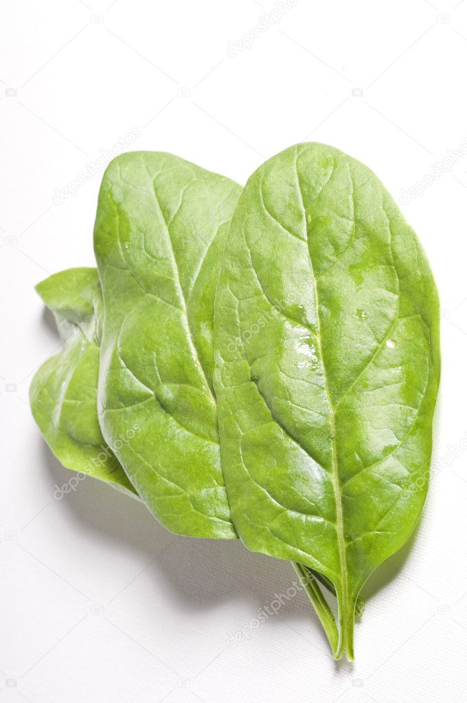 Fresh spinach leaves over white