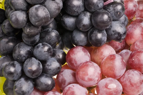Multicolore uva cibo sfondo — Foto Stock
