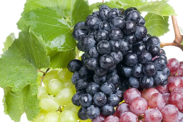 Alimento de uva sobre blanco —  Fotos de Stock