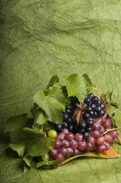 Comida de uva multicolor — Fotografia de Stock