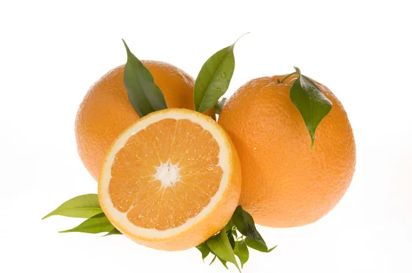 Orangennahrung isoliert über weiß — Stockfoto