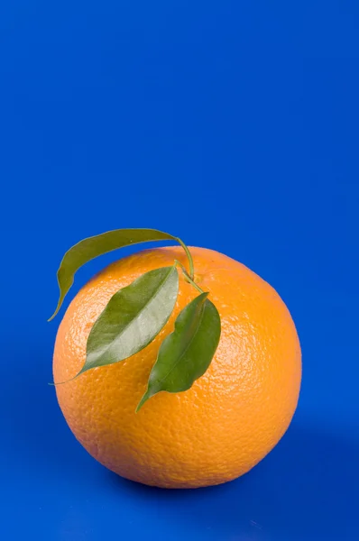 孤立在蓝色的橙色食物 — 图库照片