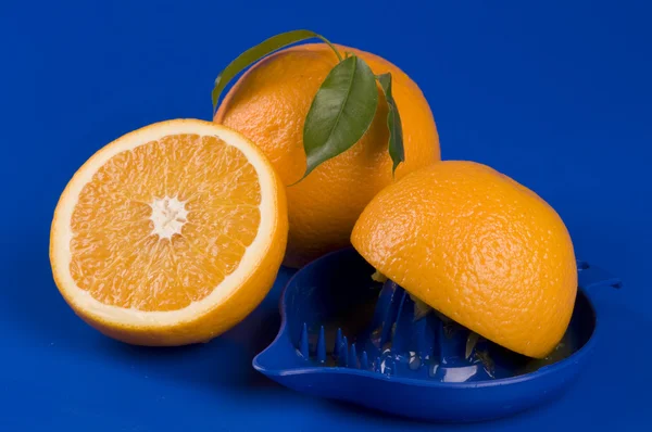 孤立在蓝色的橙色食物 — 图库照片