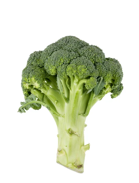 Broccoli raw food isolated over white background. — Stock Photo, Image