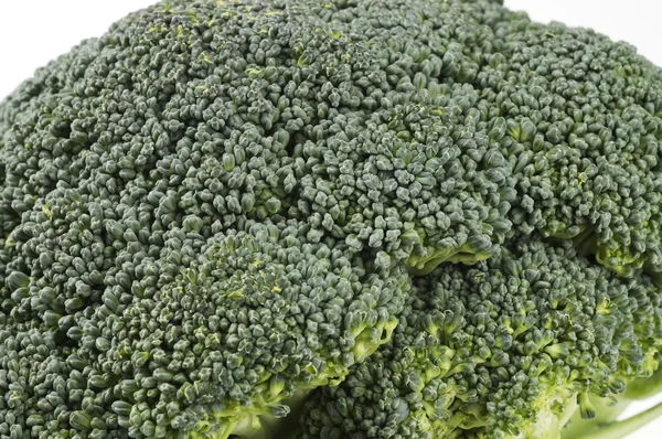 Green fresh broccoli food background — Stock Photo, Image