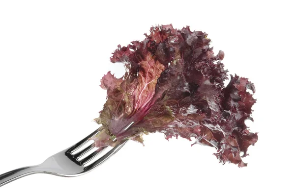Lettuce salad raw food isolated over white background. — Stock Photo, Image