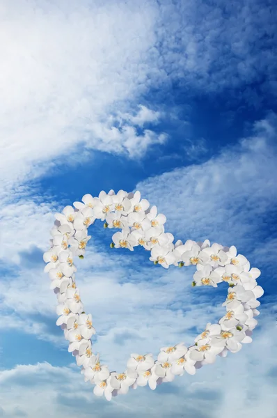 雲空の背景の上の蘭の心 — ストック写真