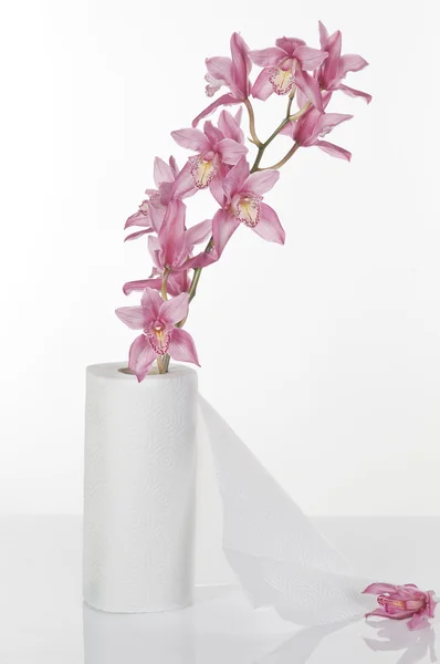 Konzept Stillleben Mit Toilettenpapier Und Rosa Orchidee Auf Weißem Hintergrund — Stockfoto