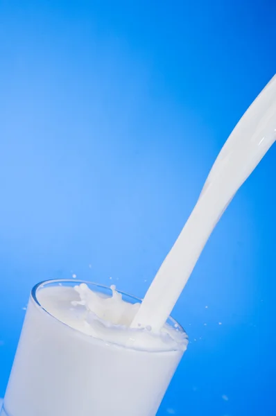 Pouring Milk Glass Isolated Blue Background — Stock Photo, Image