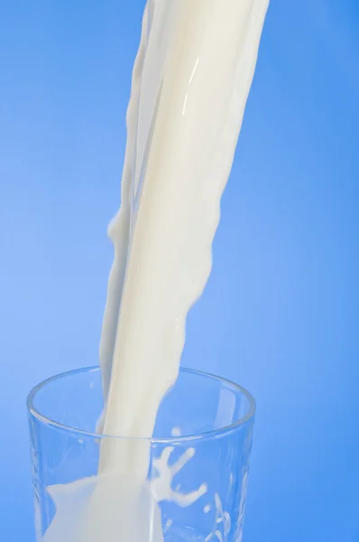 Milch Ein Glas Vor Blauem Hintergrund Gießen — Stockfoto