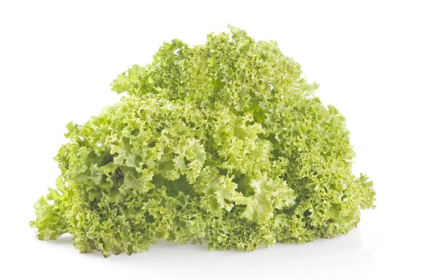 Green lettuce on white — Stock Photo, Image
