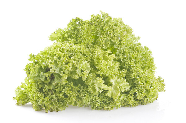 Green lettuce on white