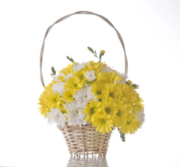 Flowers Basket Isolated White Background — Stock fotografie