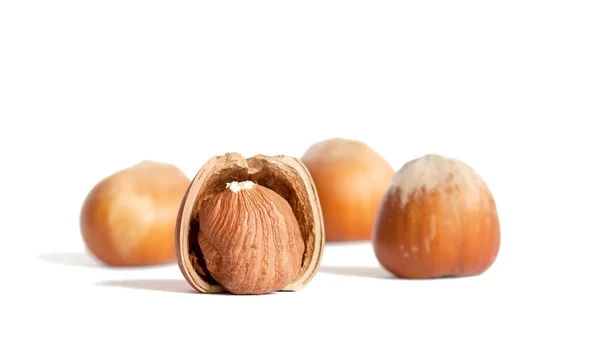 Hazelnut peeled, nuts in the background out of focus — Stock Photo, Image