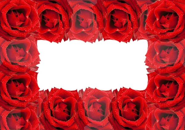 Cartolina da rose con campo per testo — Foto Stock