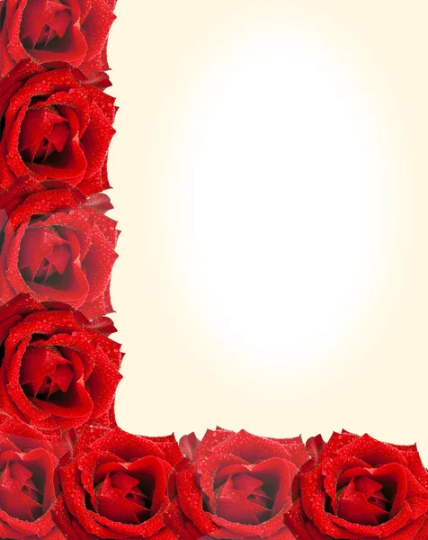 Μια όμορφη κάρτα, απομονωμένα τριαντάφυλλα και το σωστό πεδίο για κείμενο — Φωτογραφία Αρχείου